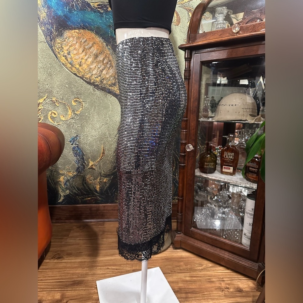 NWT ZARA STRECH PENCIL  SILVER METALLIC STULE SKIRT W BLACK LACE TREAM - Picture 6 of 9